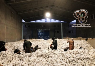 شرکت تولید پنبه بلخ هلمند