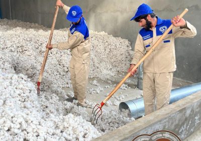 شرکت تولید پنبه بلخ هلمند