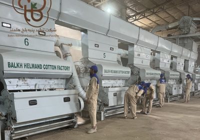 شرکت تولید پنبه بلخ هلمند